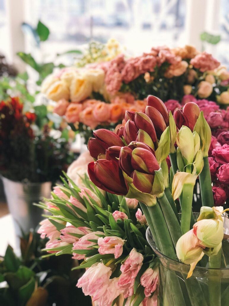 Nora fioreria il meglio dei fiori a Roma